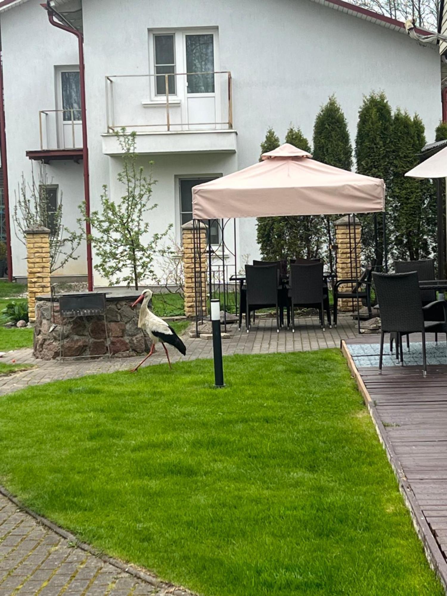 Vila Laurus Palanga Exterior foto